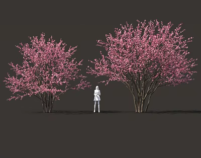 Two Beautiful Blooming Shrubs with Pink Flowers and a White Figure Standing 3d model