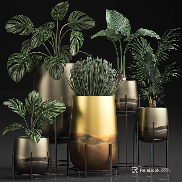 Lush Tropical Potted Plants In Golden Metallic Planters With Stands For Indoor Decor 3d model 