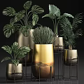 Lush Tropical Potted Plants In Golden Metallic Planters With Stands For Indoor Decor
