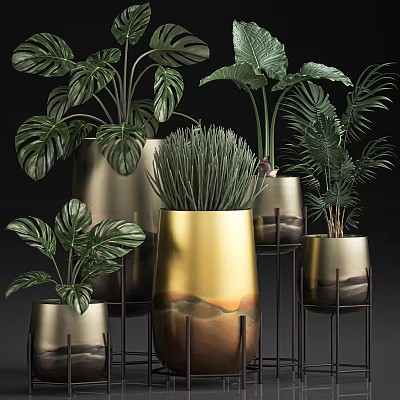 Lush Tropical Potted Plants In Golden Metallic Planters With Stands For Indoor Decor 3d model