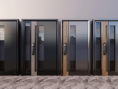 Modern Security Doors With Black Metal Frames Wooden Accents And Glass Panels 3d model