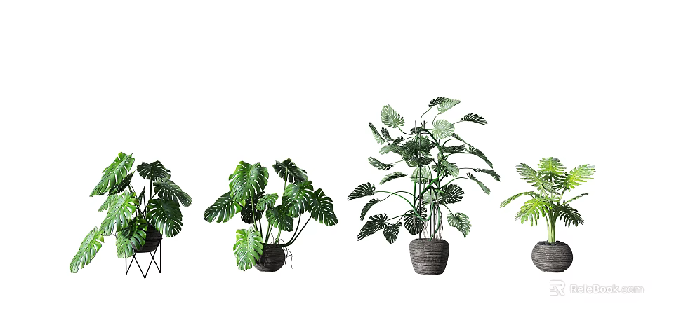 Indoor Potted Plants With Large Green Leaves In Decorative Woven Pots For Home Decoration 3d model 