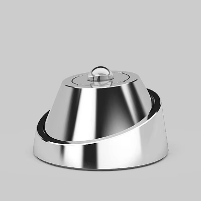 Modern Metallic Silver Ceiling Light With Sleek Shiny Design And Durable Structure 3d model