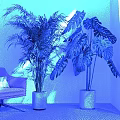 Large Indoor Potted Palm and Monstera Plants in White Pots for Living Room Decor