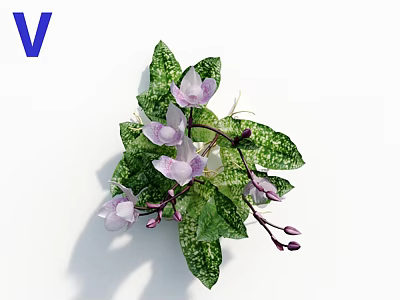Purple Orchids With Green Spotted Leaves And Fresh Flower Buds Decorative Arrangement 3d model