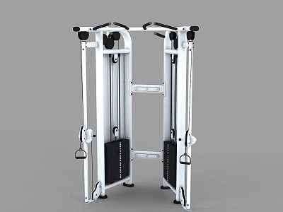 Professional Strength Training Sports Equipment With Vertical Frame Dual Handles And Weight Stack 3d model