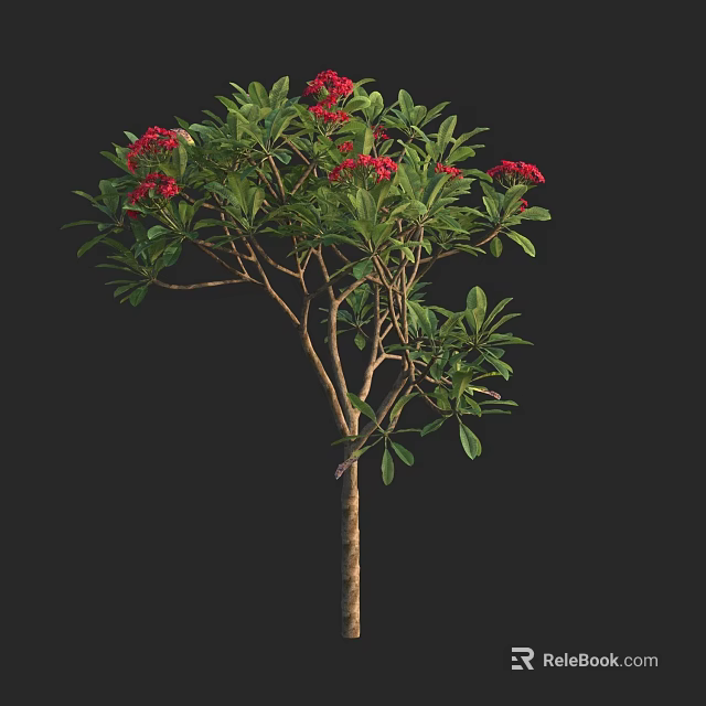 Tall Slender Tree with Lush Green Leaves and Vibrant Red Flowers 3d model 
