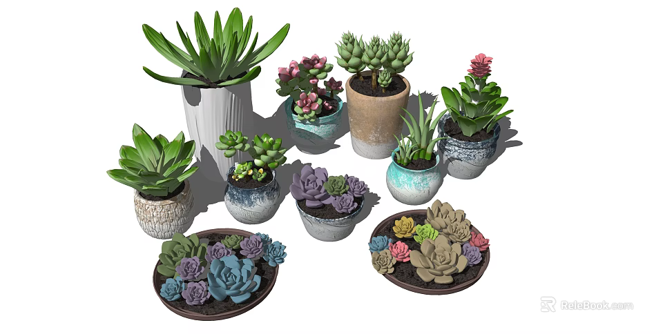 Succulent Bonsai Potted Plants with Various Colorful Ceramic Pots and Decorative Trays 3d model 