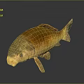 Artistic Metallic Fish Sculpture With Shiny Golden Surface And Abstract Design