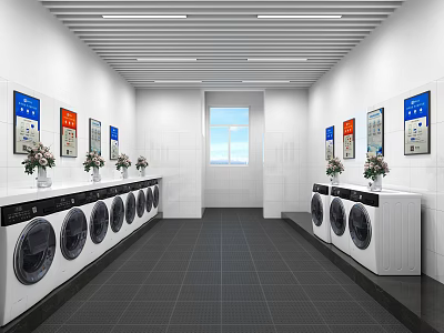 Laundry Room Interior With Washing Machines Flower Vases Posters And Bright Window 3d model