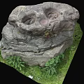 Natural Rock Decorative Structure With Cavities And Green Plants On Grass Base