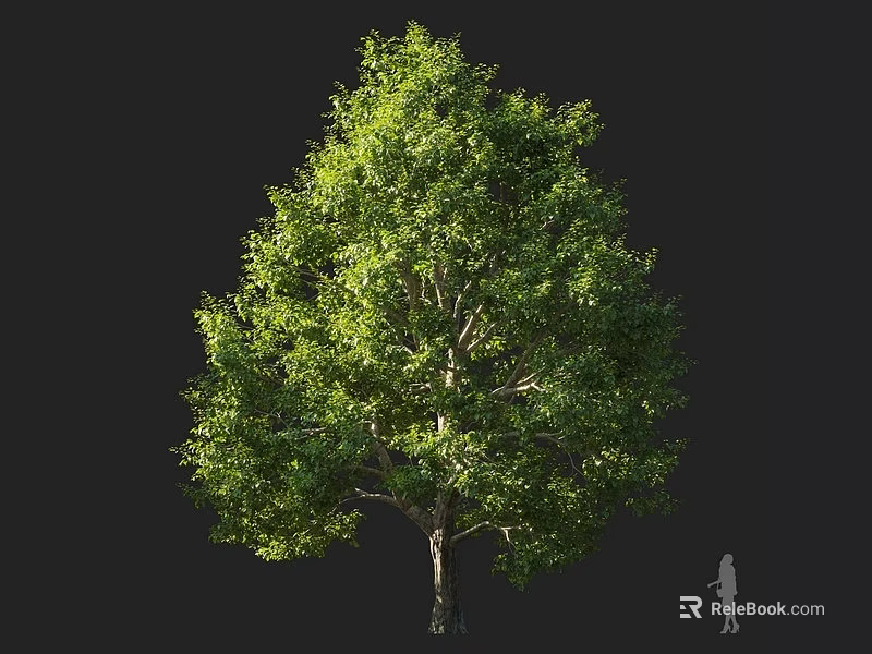 Lush Green Arbor With Dense Canopy Strong Trunk And Human Figure For Size 3d model 