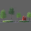 Plants Arrangement With Tall Green Trees Red Bush Low Green Plants And White Railing