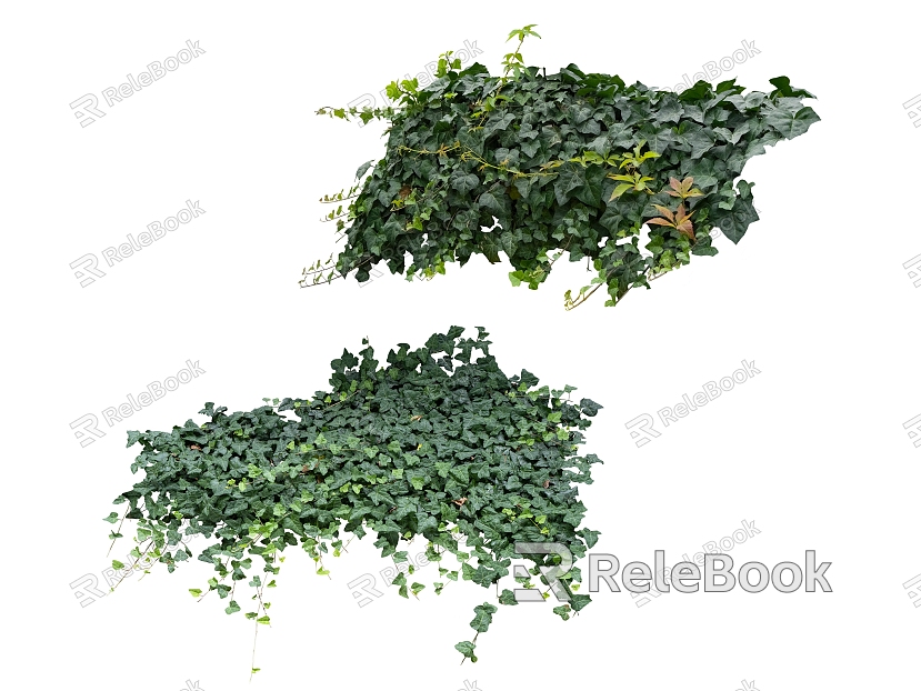 green plant green leaves model