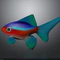 Colorful Tropical Fish With Red Body Blue Fins And Green Tail On Dark Background