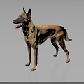 Brown Dog With Erect Ears Open Mouth And Tongue Out On Dark Background