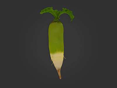 Fresh Organic Green Radish Vegetable With Vibrant Leafy Tops And Crisp White Root 3d model