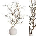 White Vase Decorated With Natural Dry Branches for Modern Home Interior Decoration