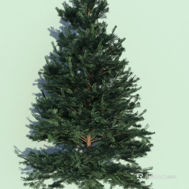 Evergreen Tree With Dense Green Foliage And Strong Trunk In Light Background 3d model 