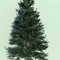 Evergreen Tree With Dense Green Foliage And Strong Trunk In Light Background