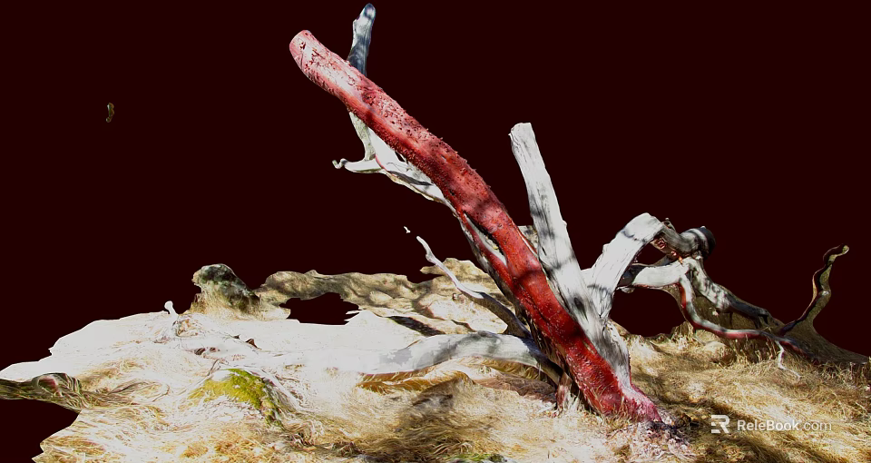 Withered Plants With Prominent Red Branch White Branches And Dry Grass On Dark Background 3d model 