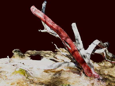 Withered Plants With Prominent Red Branch White Branches And Dry Grass On Dark Background 3d model