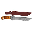 Traditional Handmade Weapon Knife With Engraved Blade Wooden Handle And Red Sheath