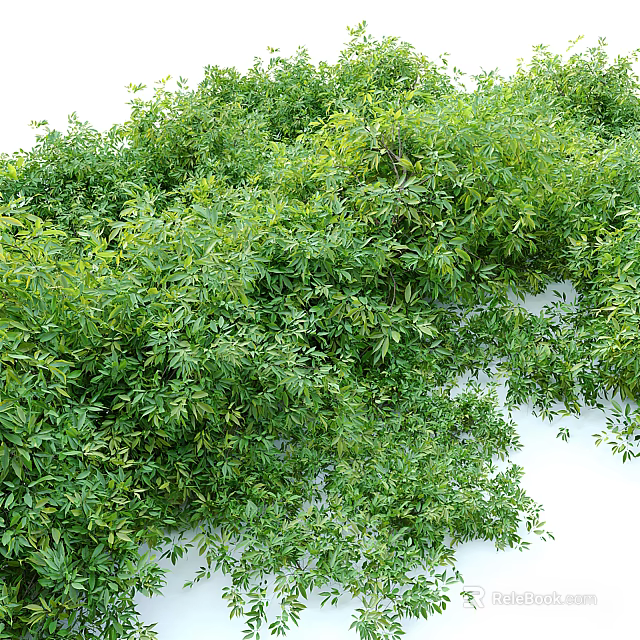 Lush Green Shrubs With Dense Foliage For Garden Landscaping And Decoration 3d model 