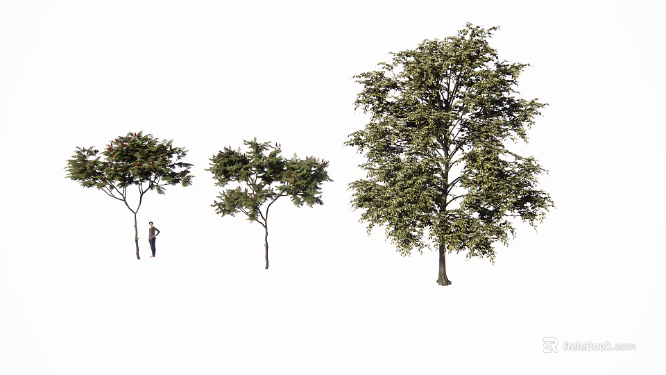 Three Arbors of Different Sizes with a Person Standing Nearby 3d model 
