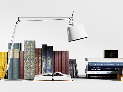 Books And Magazines Display With Open Book Table Lamp Colorful Spines And Stacked Books 3d model