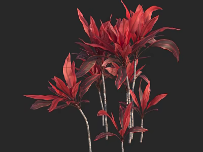 Vibrant Red Leaf Arbor With Multiple Slender Trunks And Lush Foliage 3d model