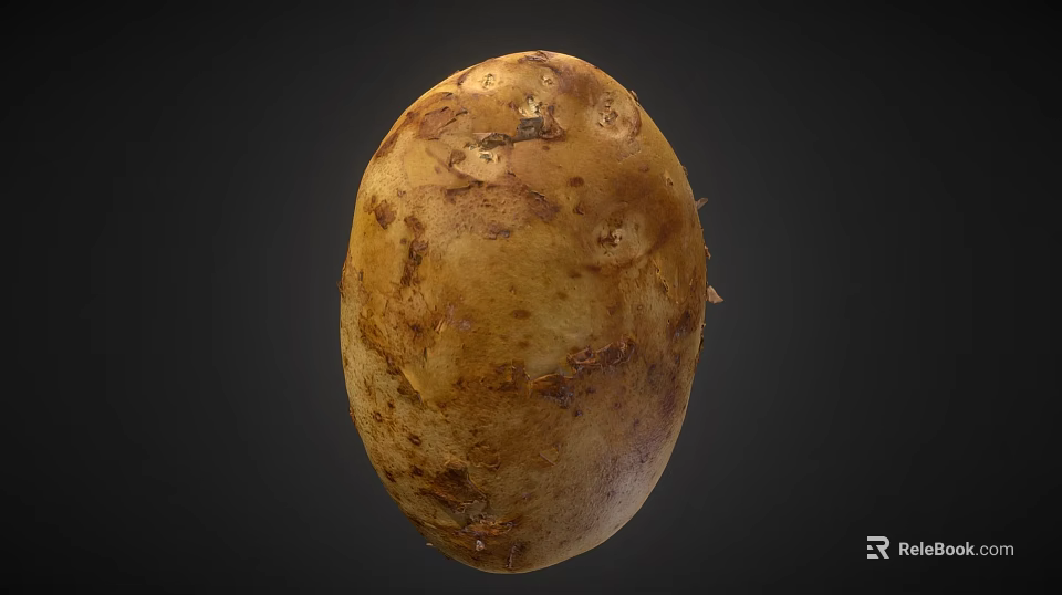 Single Whole Fresh Organic Potato With Natural Brown Skin And Texture On Dark Background 3d model 