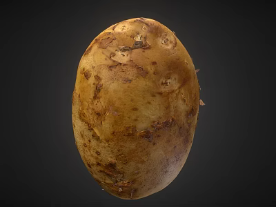 Single Whole Fresh Organic Potato With Natural Brown Skin And Texture On Dark Background 3d model