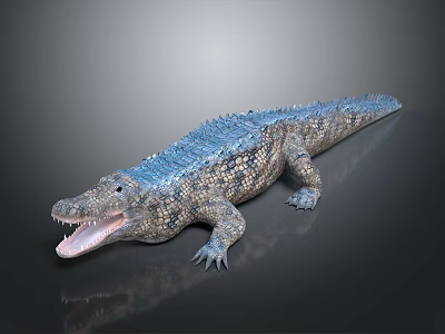3D Crocodile Model With Blue Back Open Mouth And Gray Background Reflection 3d model