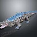 3D Crocodile Model With Blue Back Open Mouth And Gray Background Reflection