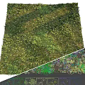 Vibrant Flower Meadow With Yellow Purple Flowers Green Grass And Lush Plants