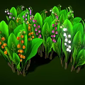 Green Leafy Plants With Small White Pink Purple And Orange Flowers And Brown Stems