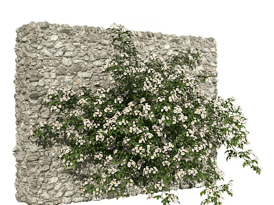 Modern Vine Plant Wall 3d model