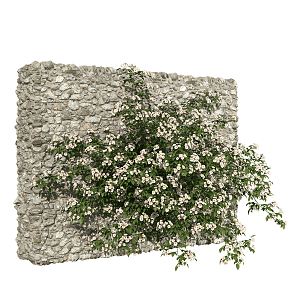 Modern Vine Plant Wall 3d model