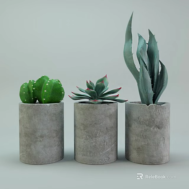 Bonsai Potted Plants with Cactus Succulent and Agave in Cylindrical Gray Concrete Pots 3d model 