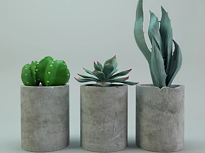 Bonsai Potted Plants with Cactus Succulent and Agave in Cylindrical Gray Concrete Pots 3d model
