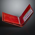 Wallet Wallet Wallet Wallet 3d model