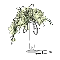 Elegant Vase with White Flowers Green Stems and White Ribbon Floral Arrangement
