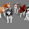 Cute Husky Dogs In Different Colors Standing Together On Gray Background