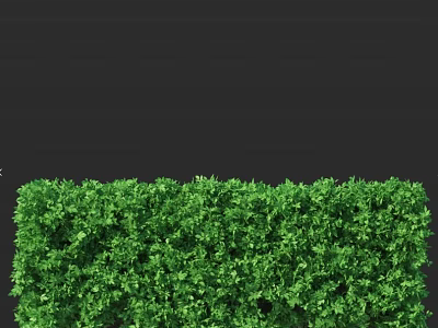 Lush Green Shrubs With Neatly Trimmed Foliage And Dense Growth 3d model