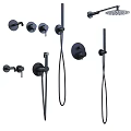 Modern Black Shower Head Set With Handheld Sprayer And Wall Mounted Controls 3d model