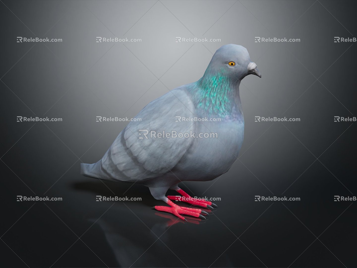 Modern pigeon domestic pigeon racing pigeon short-range pigeon 3d model