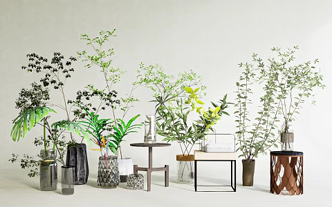 Modern vase hydroponic branch cutting flower potted plant combination indoor landscape 3d model