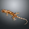 Gecko flying gecko large gecko multiple warts gecko webbed gecko webbed toed gecko reptile 3d model