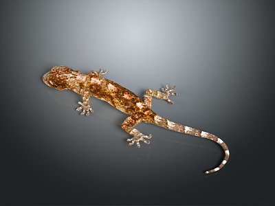 Gecko flying gecko large gecko multiple warts gecko webbed gecko webbed toed gecko reptile 3d model